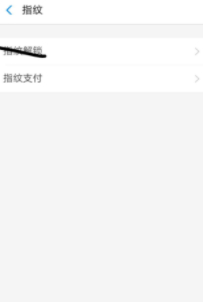 支付宝指纹识别不了,如何重新设置第5步