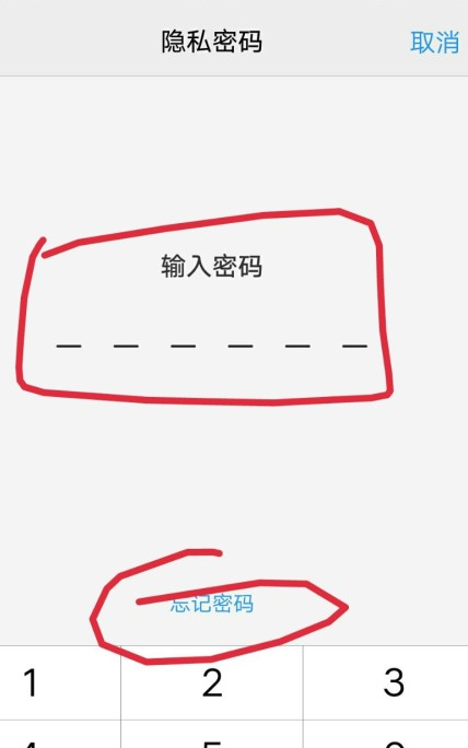 vivo保密柜密码身份验证忘了第2步