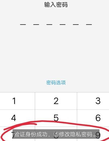 vivo保密柜密码身份验证忘了第4步