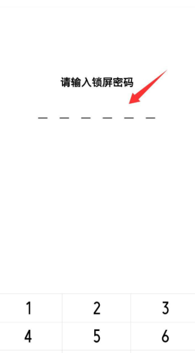 vivo手机怎样取消下载密码第3步