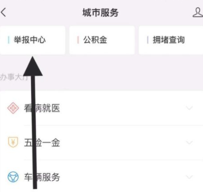 怎么查自己投诉过的记录第5步