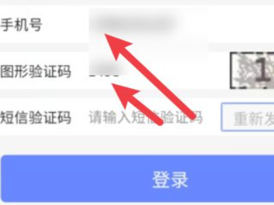 微信怎么弄电子身份证第3步