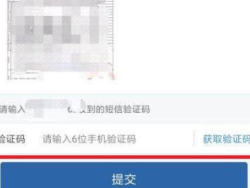 交管12123申请的免检标志电子在哪里第9步