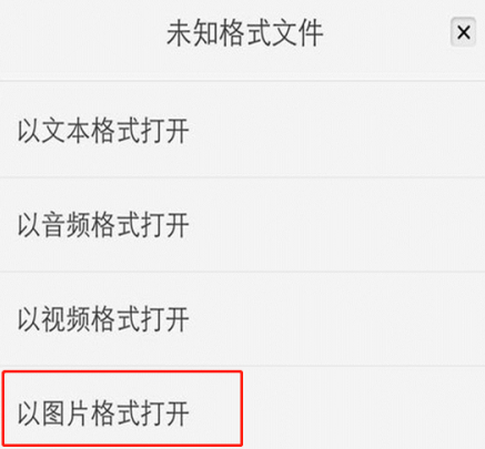 ios如何查看销毁的闪照第7步