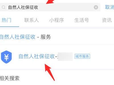 合疗网上缴费怎么查询第2步