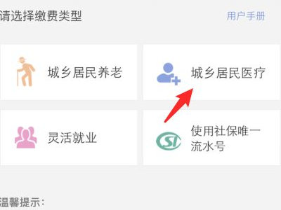 合疗网上缴费怎么查询第3步