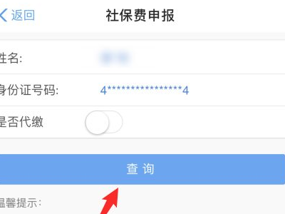 合疗网上缴费怎么查询第4步