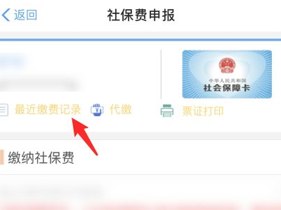 合疗网上缴费怎么查询第5步