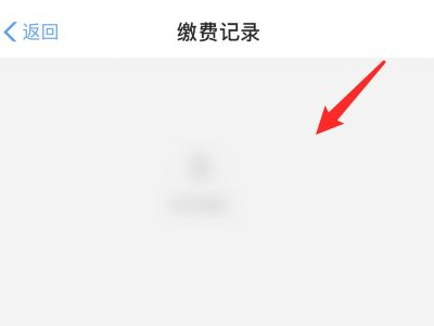 合疗网上缴费怎么查询第6步
