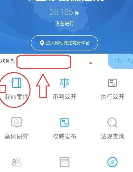 怎么查案件进度查询第6步