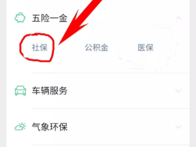 微信怎么查社保查询个人账户第3步