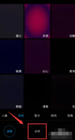 vivo手机怎么弄自定义水印第3步