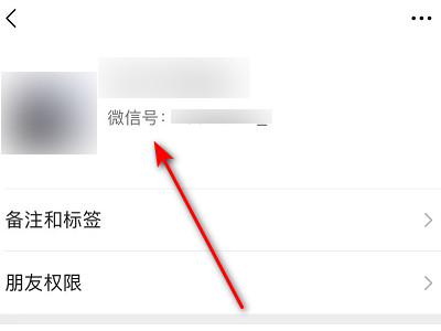 知道对方微信名字怎么查微信号第5步