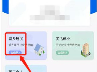 怎么在微信上交养老保险第3步