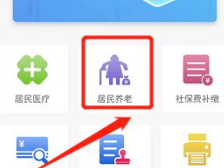 怎么在微信上交养老保险第4步