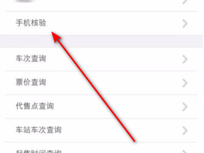 手机核验12306步骤第3步