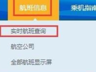 查询航班实时到达情况哪里查询第2步