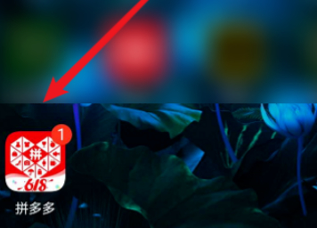 拼多多多多果园没有体验资格是为什么第1步