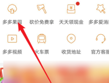 拼多多多多果园没有体验资格是为什么第3步