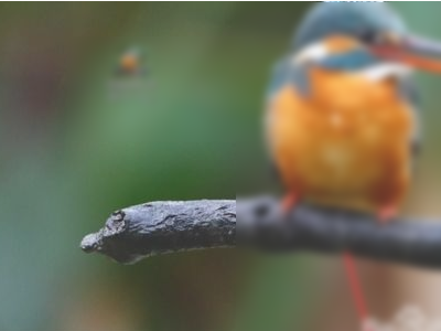 电脑搜索框怎么调出来第1步