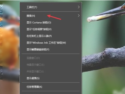 电脑搜索框怎么调出来第2步