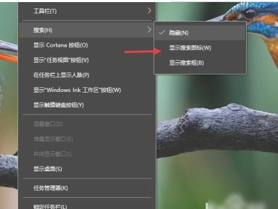 电脑搜索框怎么调出来第3步