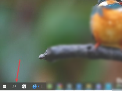 电脑搜索框怎么调出来第4步