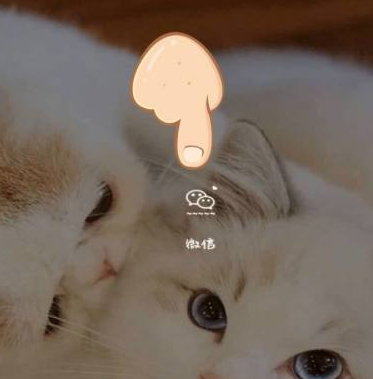 厦门行程码怎么获取第1步