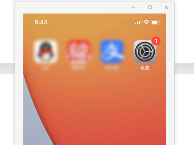 苹果12怎么清理垃圾第1步