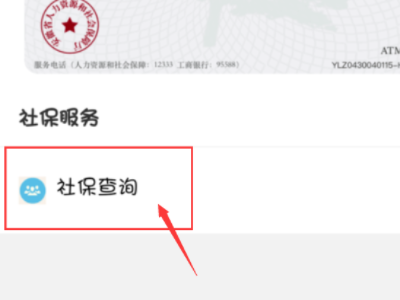 电子社保卡怎么查询交费记录第3步