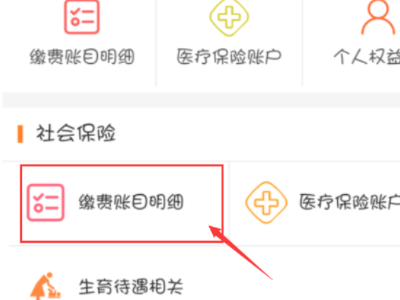 电子社保卡怎么查询交费记录第4步