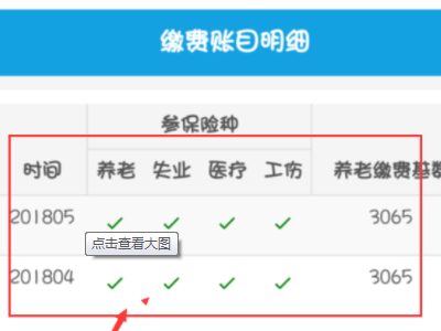 电子社保卡怎么查询交费记录第5步