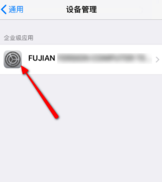 苹果11的设备管理在哪里打开第4步