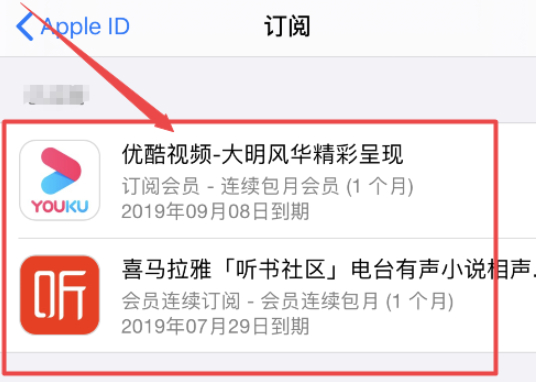 ios订阅怎么取消第4步