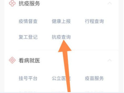 手机上怎么查核酸检测结果第3步