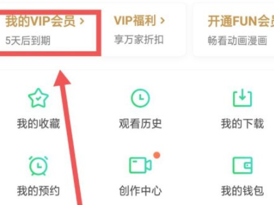 爱奇艺券码怎么使用第2步