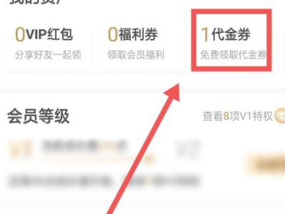 爱奇艺券码怎么使用第3步