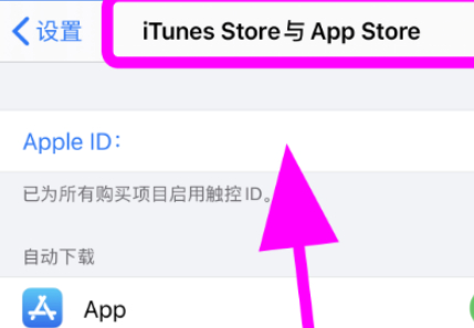 为什么苹果更新apple id 总是密码不对第3步