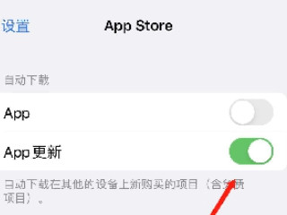 苹果app自动更新怎么关闭第4步