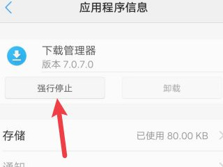 下载管理器怎么关闭第6步
