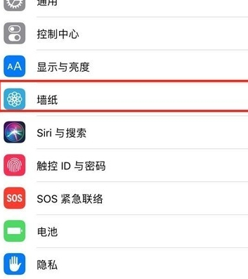 苹果11壁纸怎么设置第2步