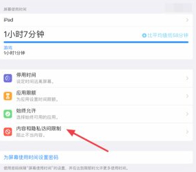 ipad删除软件没有小叉第3步
