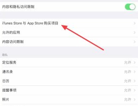 ipad删除软件没有小叉第4步