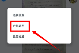 钉钉怎么发送合并照片第4步