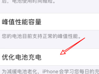 苹果手机充电充到80%充不进了什么问题第4步