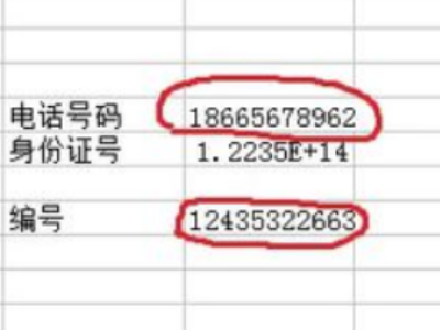 在表格中身份证号码出现乱码怎么处理第4步