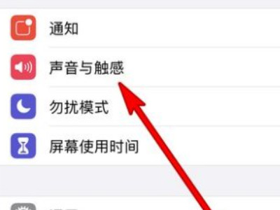 苹果手机侧键突然调不了音量第2步