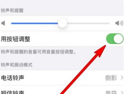 苹果手机侧键突然调不了音量第4步
