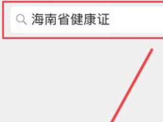 健康证电子版查询怎么查第4步
