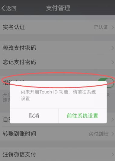 苹果手机怎么设置指纹支付第6步